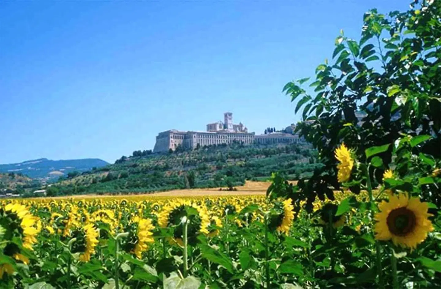 Cristallo LANDSCAPE