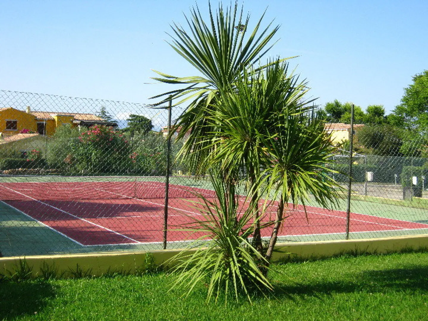 Le Mimose SPORTS_AND_LEISURE