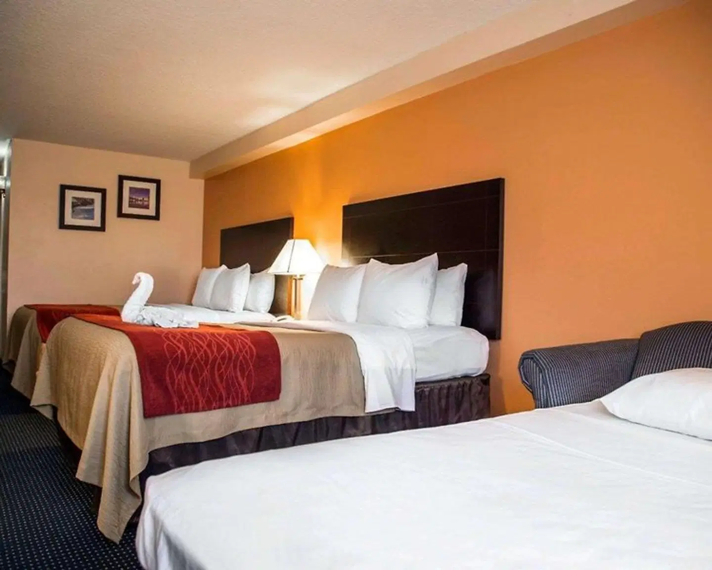 Comfort Inn International ROOM_EXAMPLE