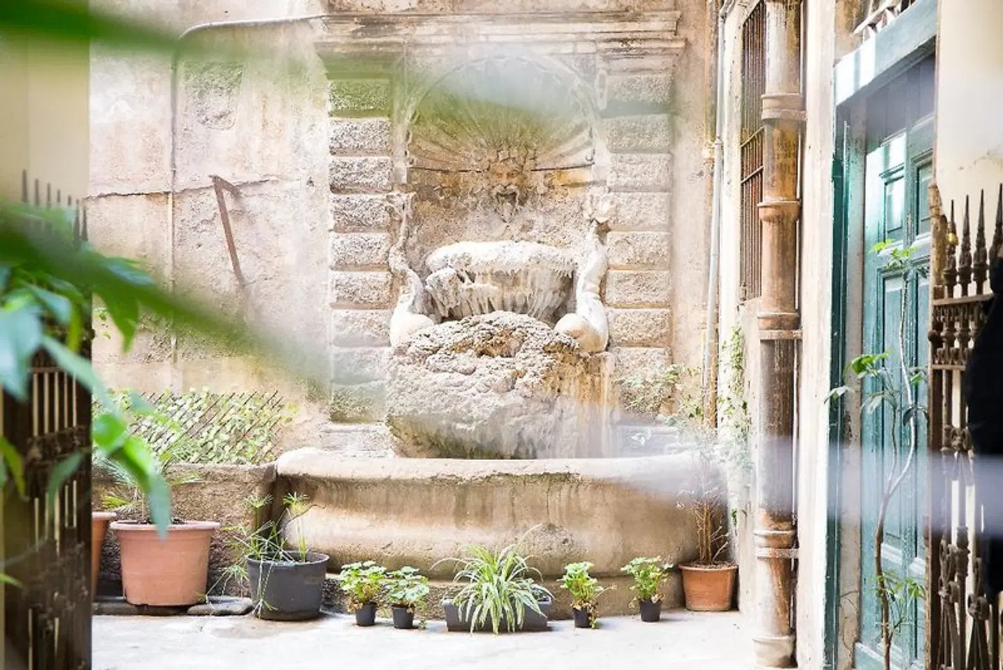 Nerva Accomodation Cavour Garten