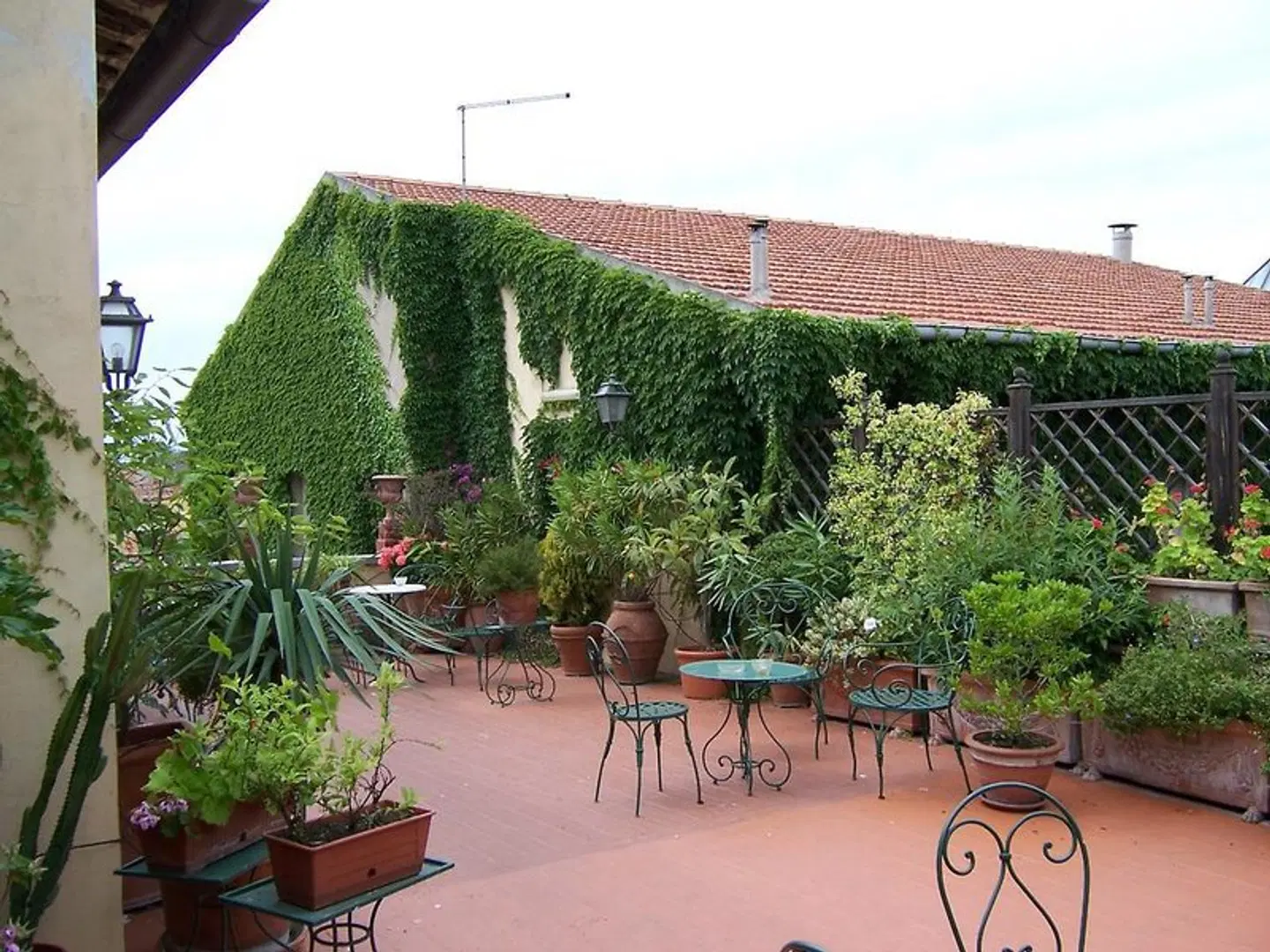 Royal Victoria Hotel Tiere