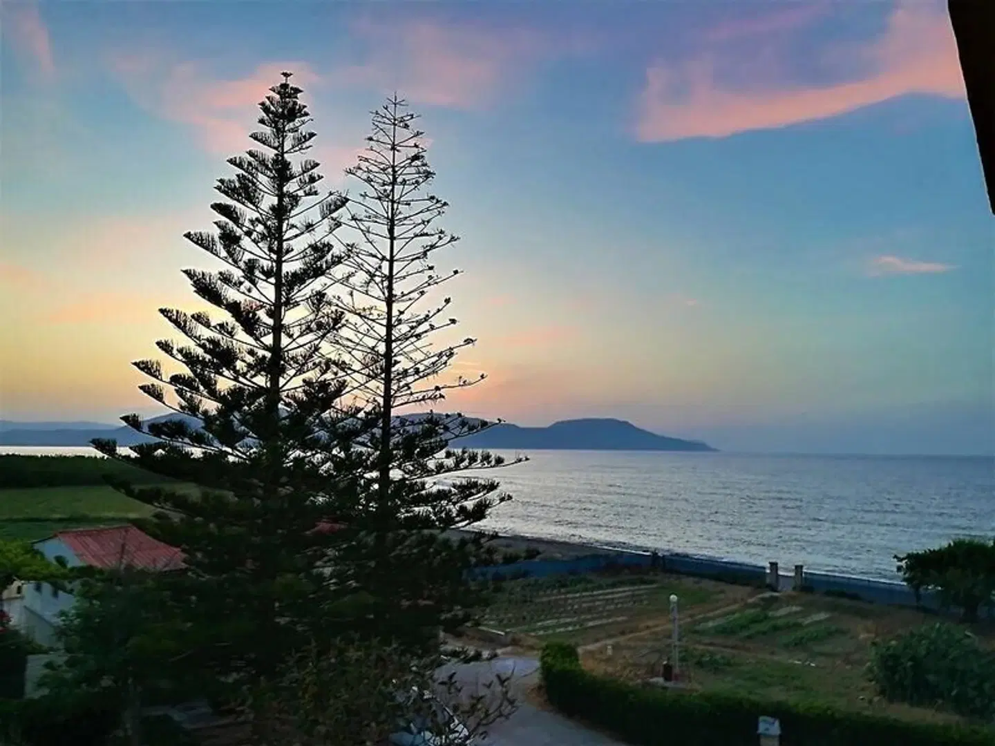 Musela Studios LANDSCAPE