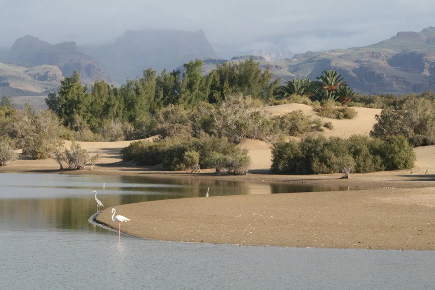 Apartamentos El Capricho LANDSCAPE