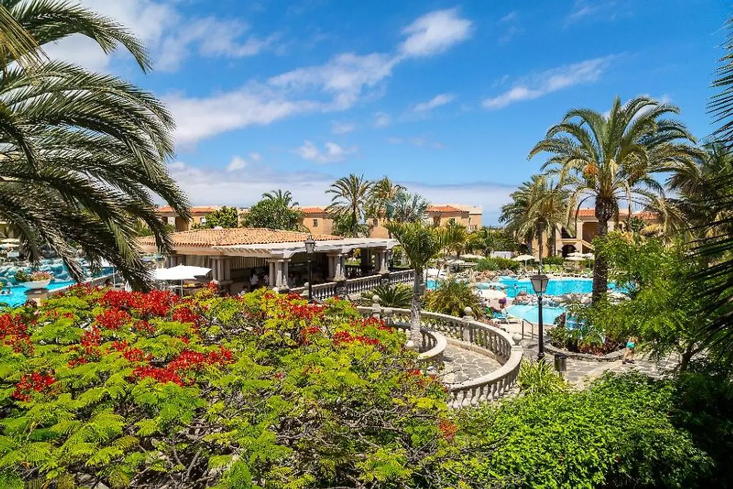 Palm Oasis Maspalomas Garten