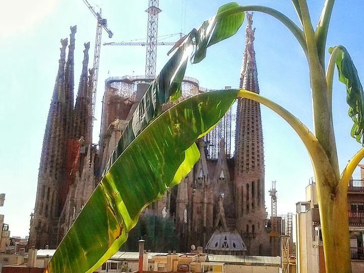 Sensation Sagrada Familia EXTERIOR