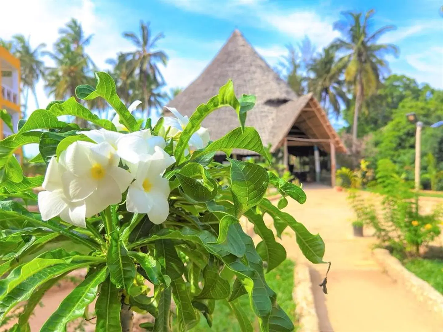 Reef & Beach Resort EXTERIOR