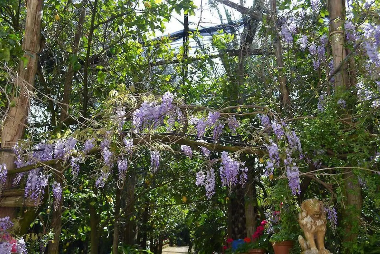 Sorrento Experience Garten