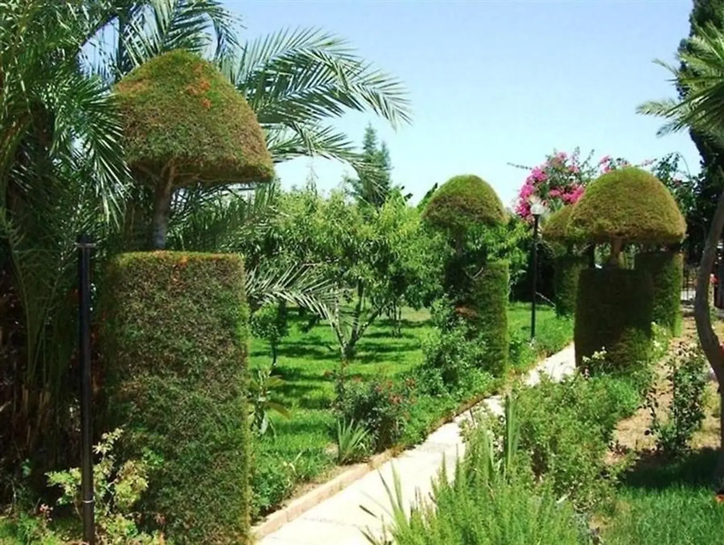 Fitos Inn Garten