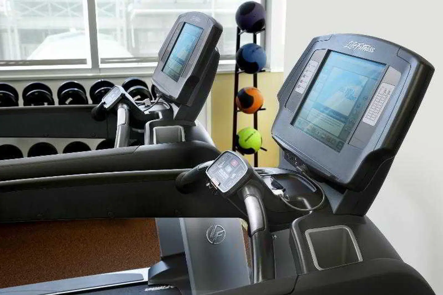 Sheraton Gateway Hotel in Toronto International Airport SPORTS_AND_LEISURE