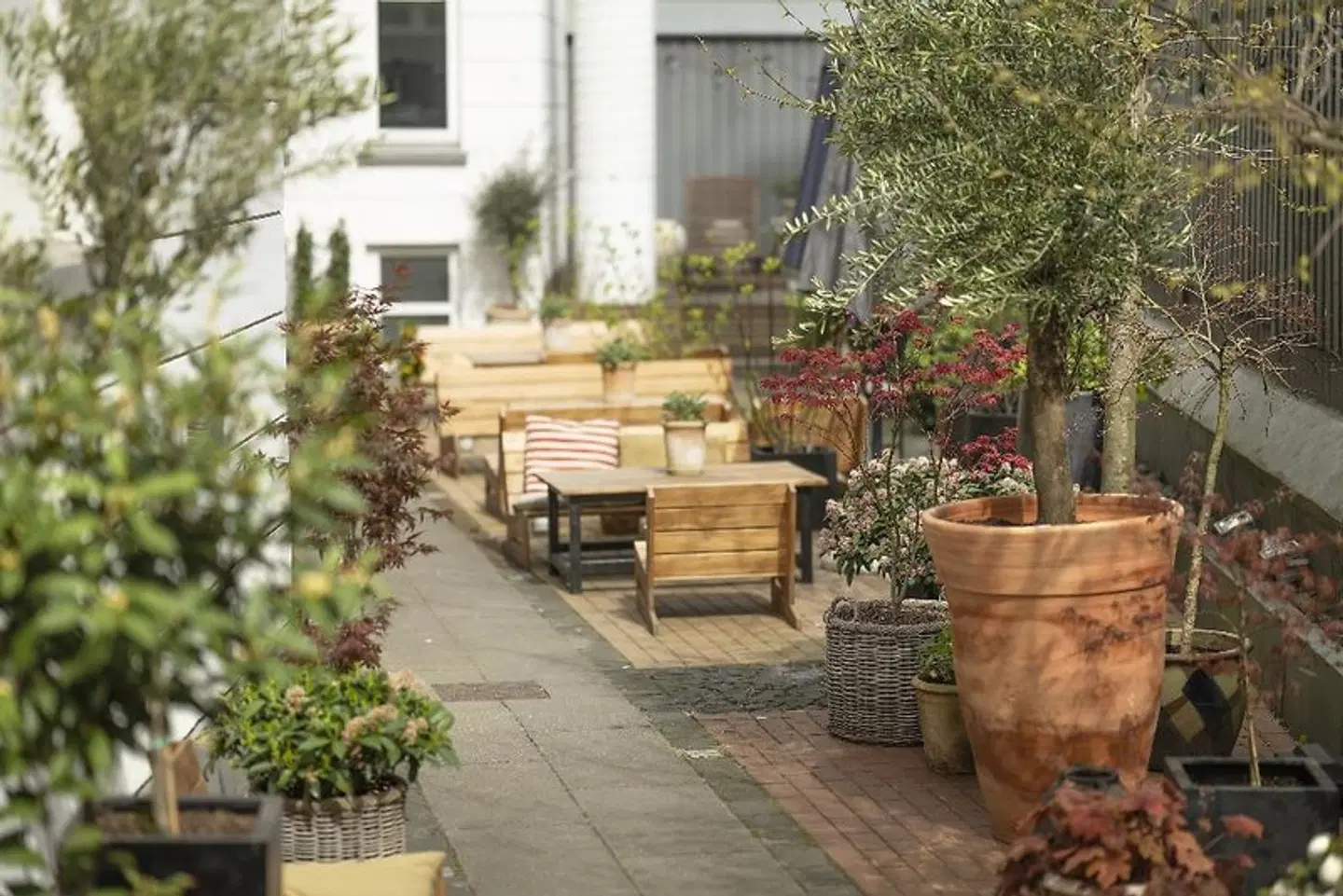 Hotel Mayfair Terrasse
