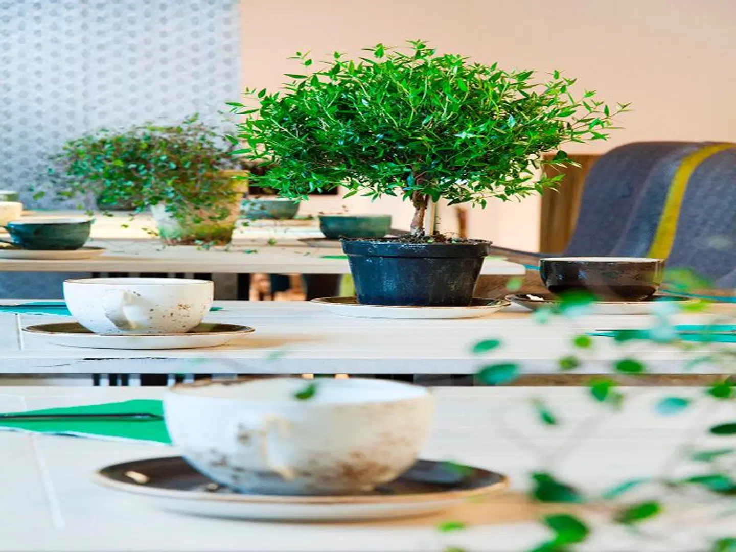 Absalon City Hotel Terrasse