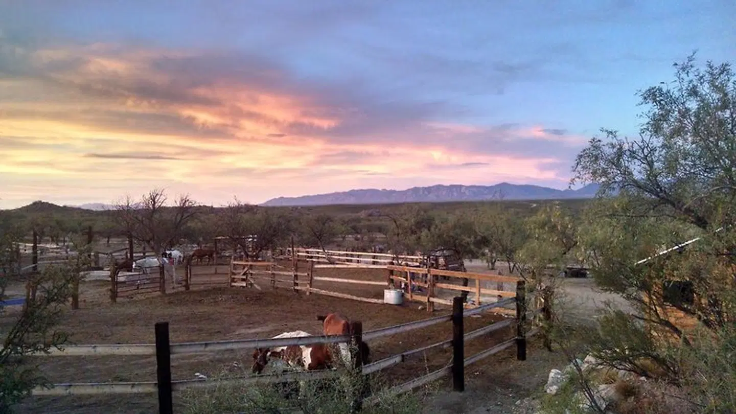 Tombstone Monument Ranch Terrasse