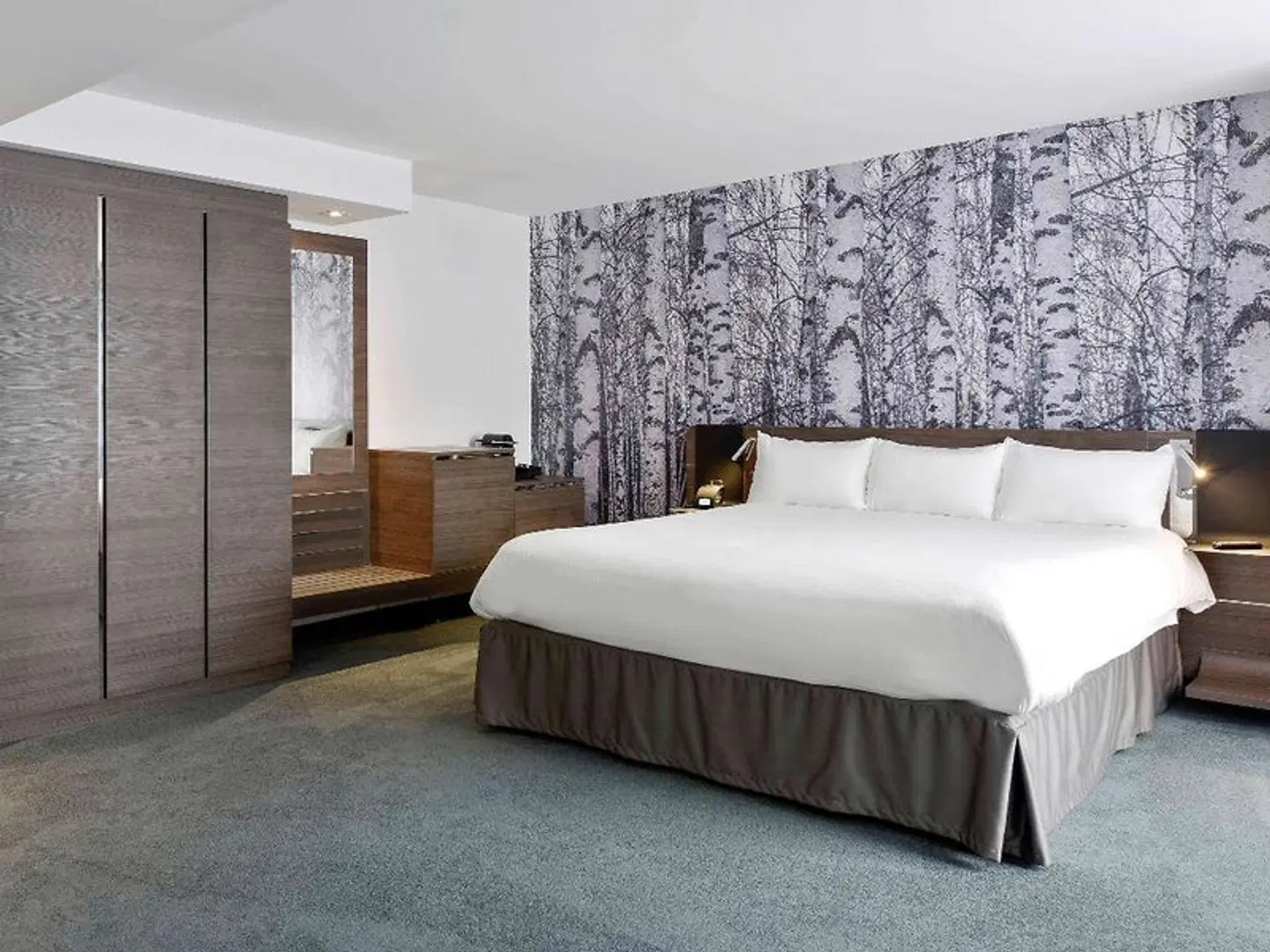 Novotel Ottawa ROOM_EXAMPLE