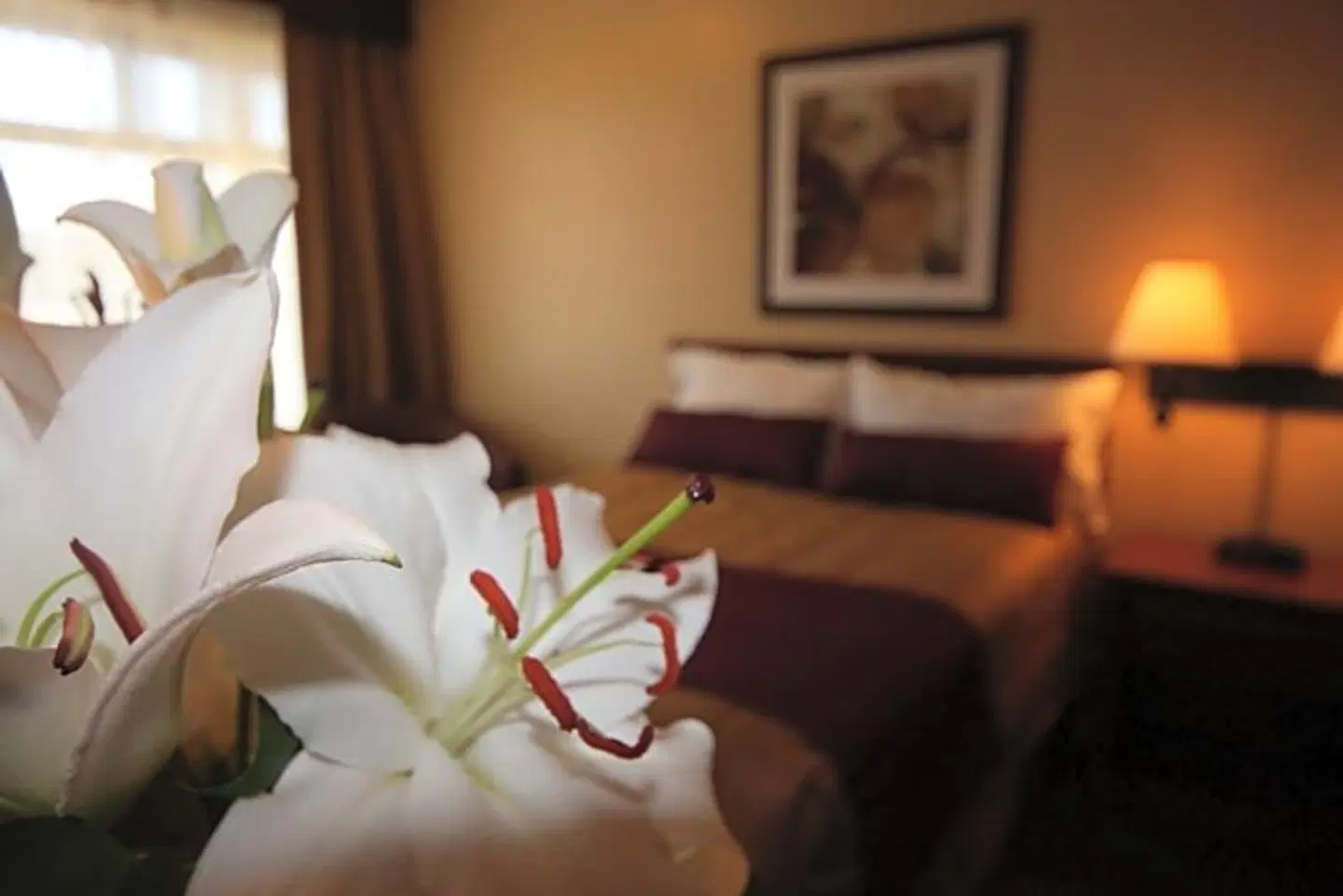 Adam Motel HEALTH_BEAUTY