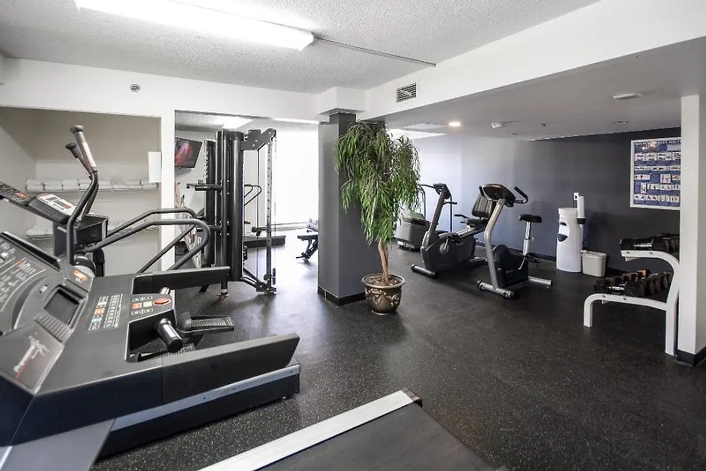 Hotel Faubourg Montreal SPORTS_AND_LEISURE