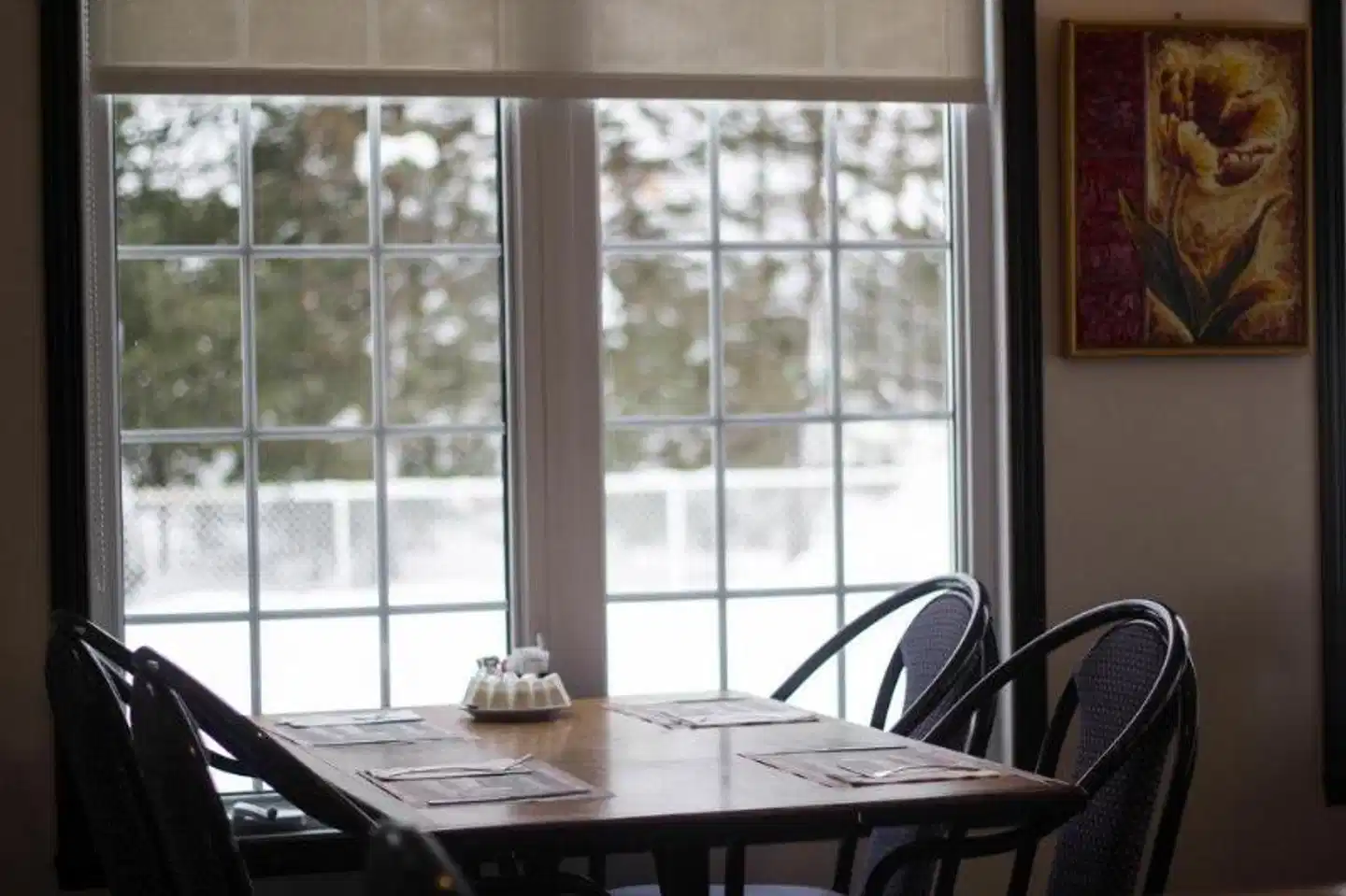 Hôtel Marineau à La Tuque Konferenz