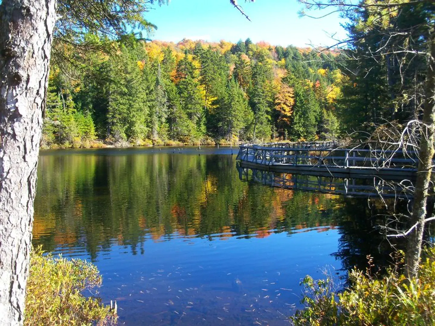 Les Refuges Perchés Mont-Tremblant LANDSCAPE