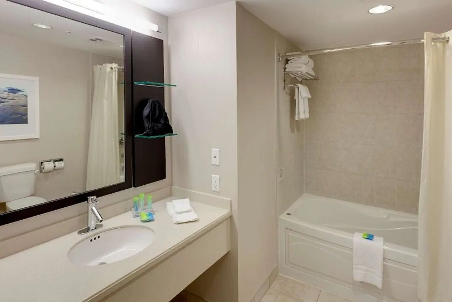 Radisson Hotel & Suites Fallsview Badezimmer