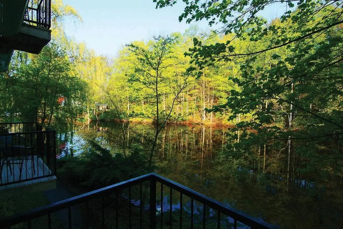 Benmiller Inn & Spa LANDSCAPE