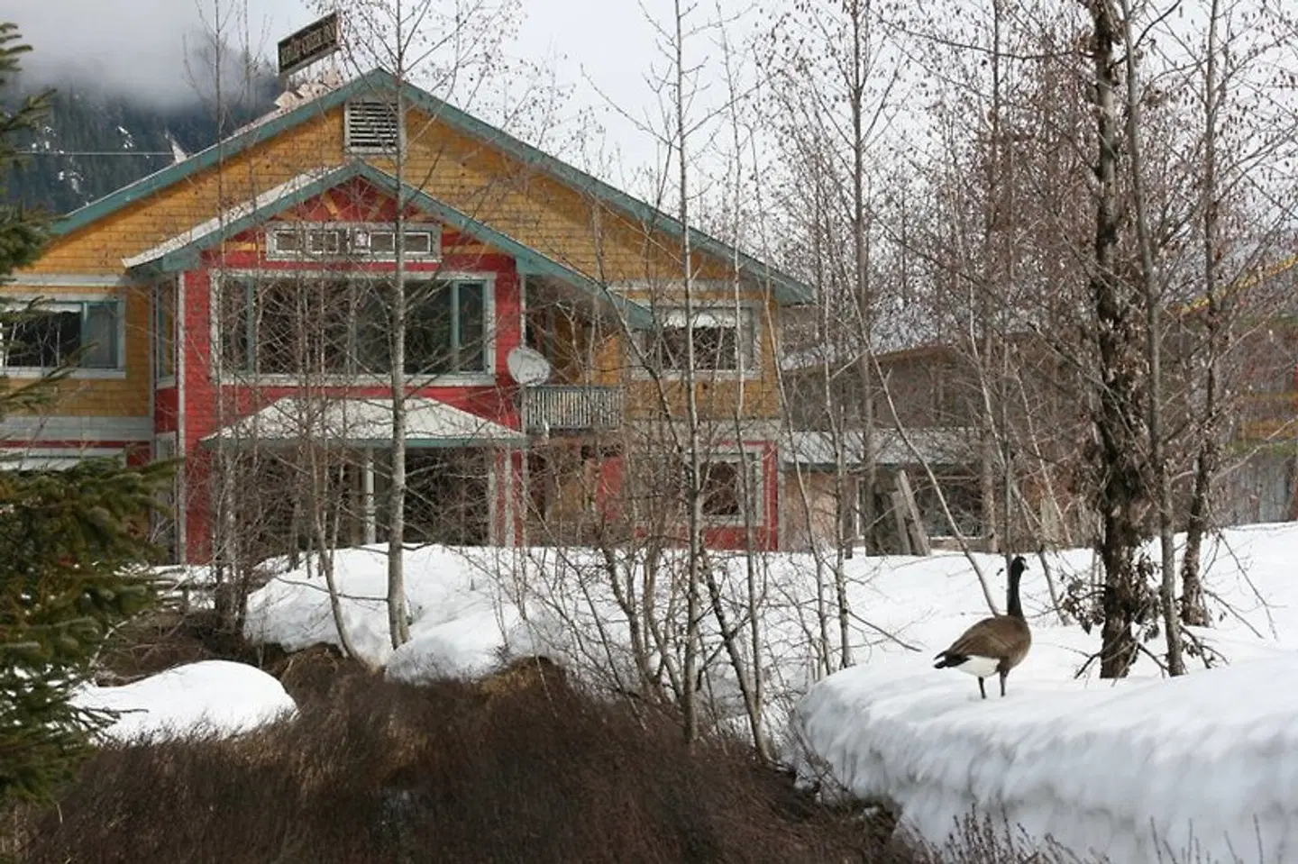 Ripley Creek Inn EXTERIOR
