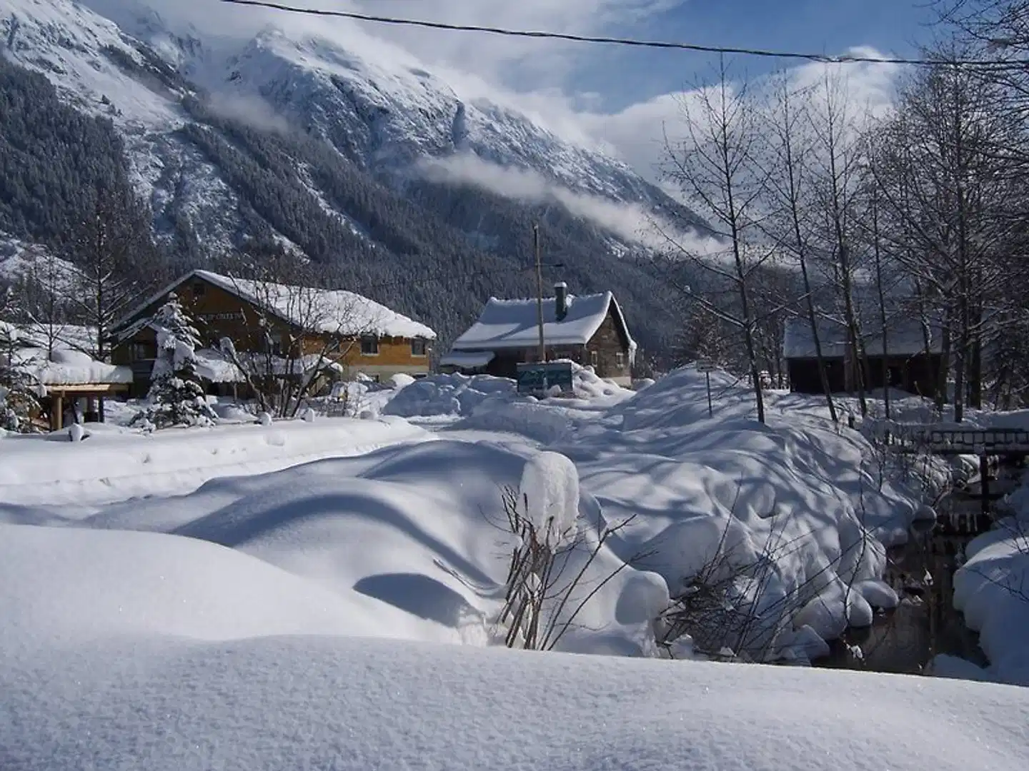 Ripley Creek Inn Landschaft