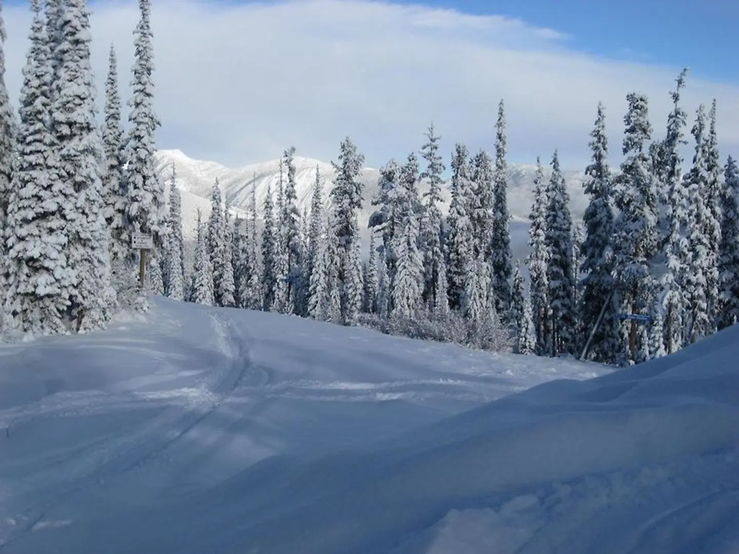 Trickle Creek Lodge LANDSCAPE