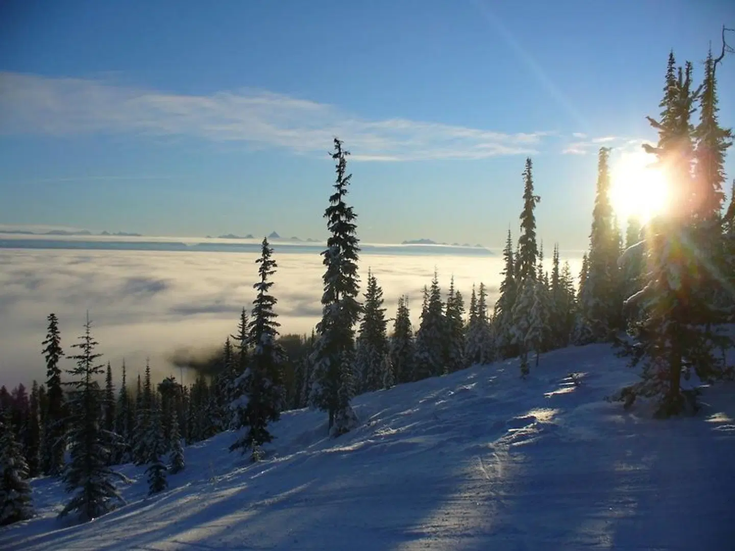 Trickle Creek Lodge LANDSCAPE