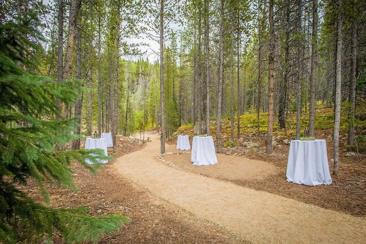 Winter Park Mountain Lodge Strand