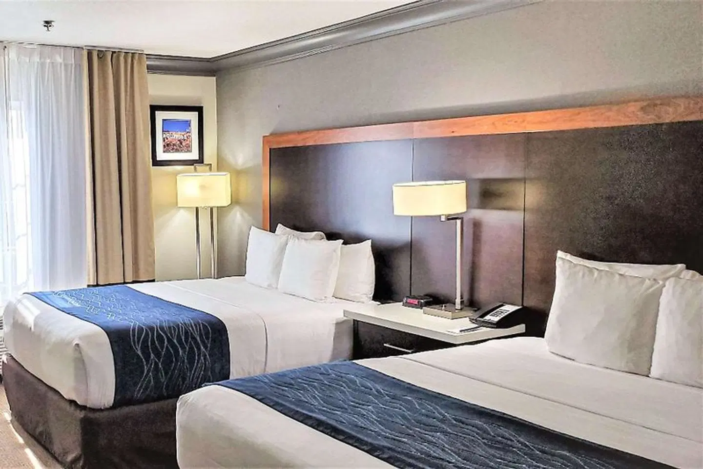 Comfort Inn & Suites Near Universal - North Hollywood - Burbank ROOM_EXAMPLE