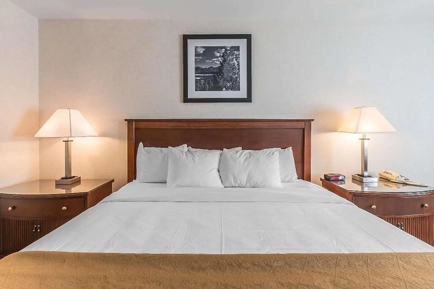 Quality Inn & Suites Steamboat Springs ROOM_EXAMPLE