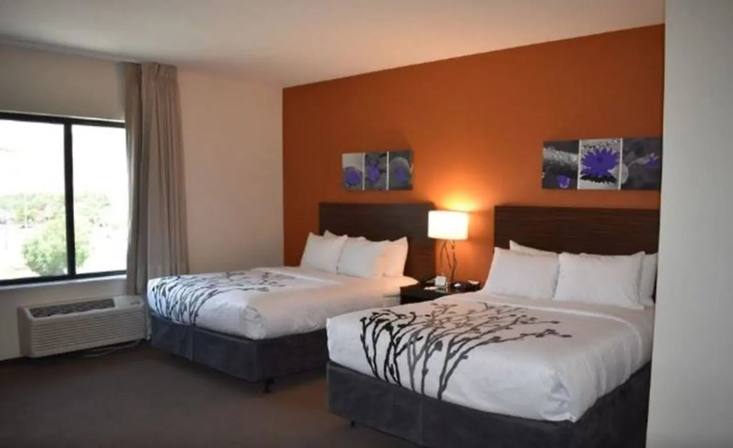 Sleep Inn & Suites Moab near Arches National Park ROOM_EXAMPLE