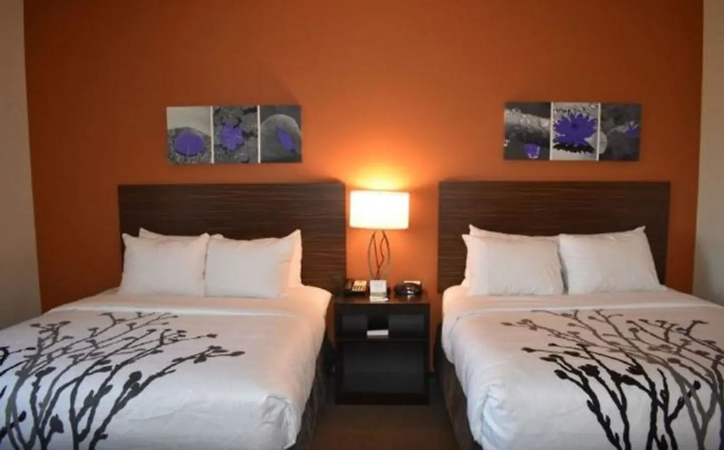 Sleep Inn & Suites Moab near Arches National Park ROOM_EXAMPLE