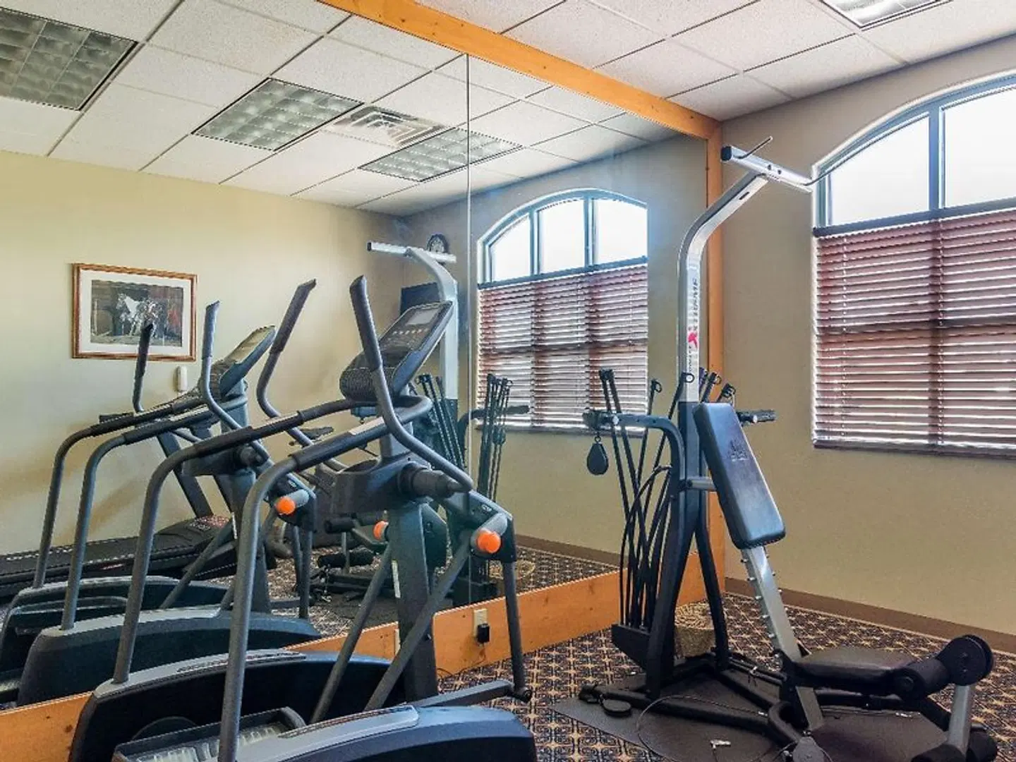 Best Western Alamosa Inn SPORTS_AND_LEISURE