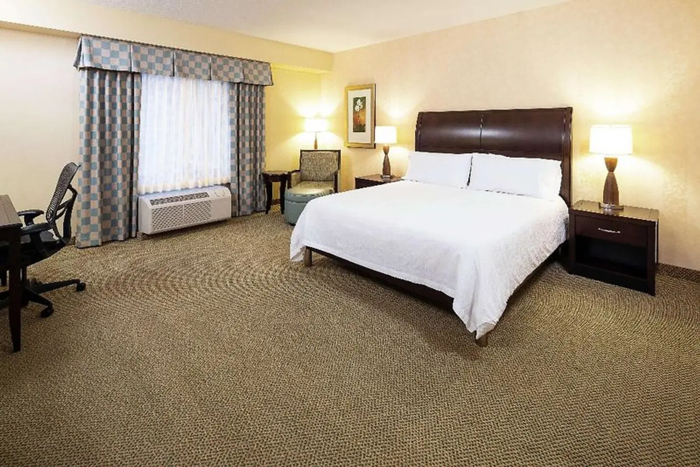 Hilton Garden Inn Sioux Falls South ROOM_EXAMPLE