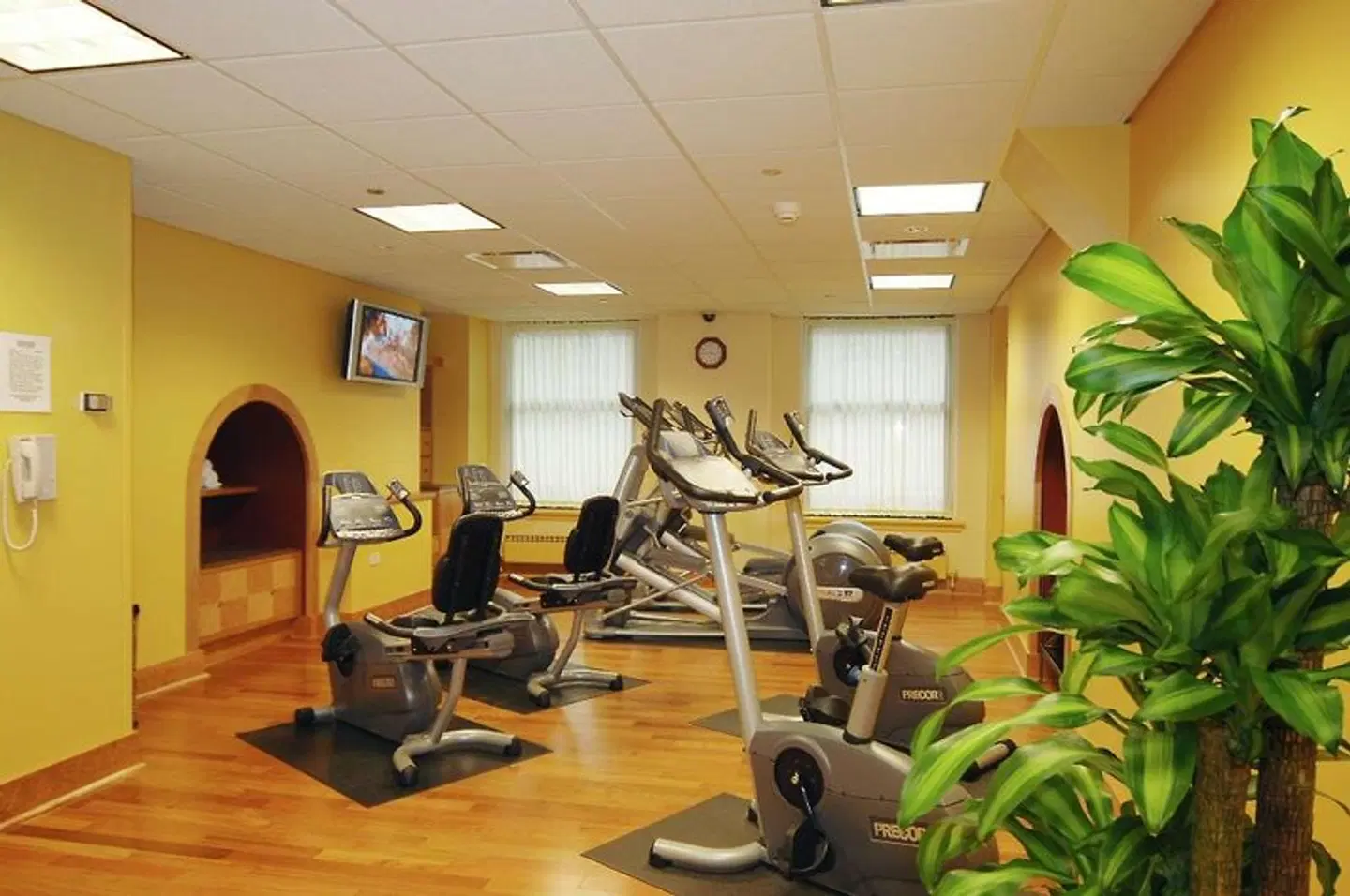 The Drake SPORTS_AND_LEISURE