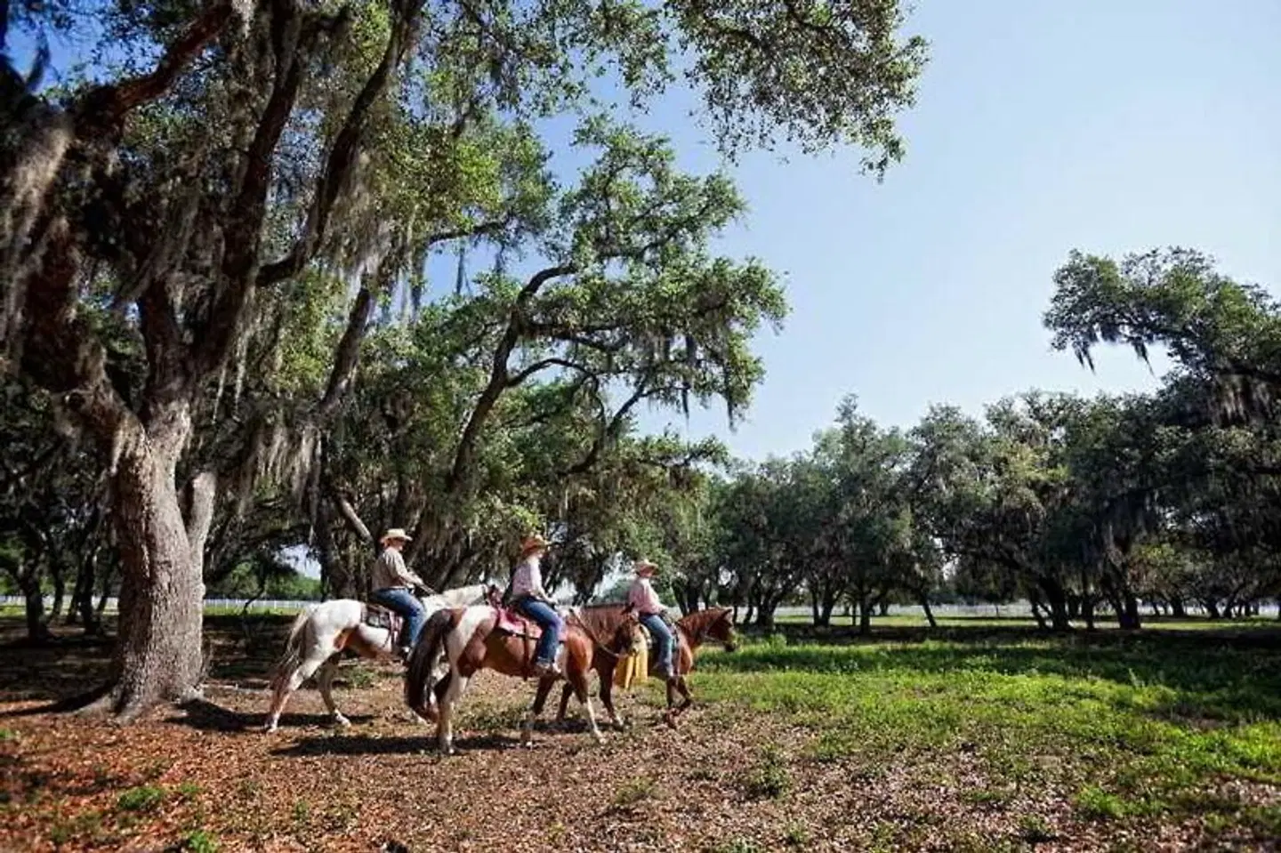 Westgate River Ranch Tiere