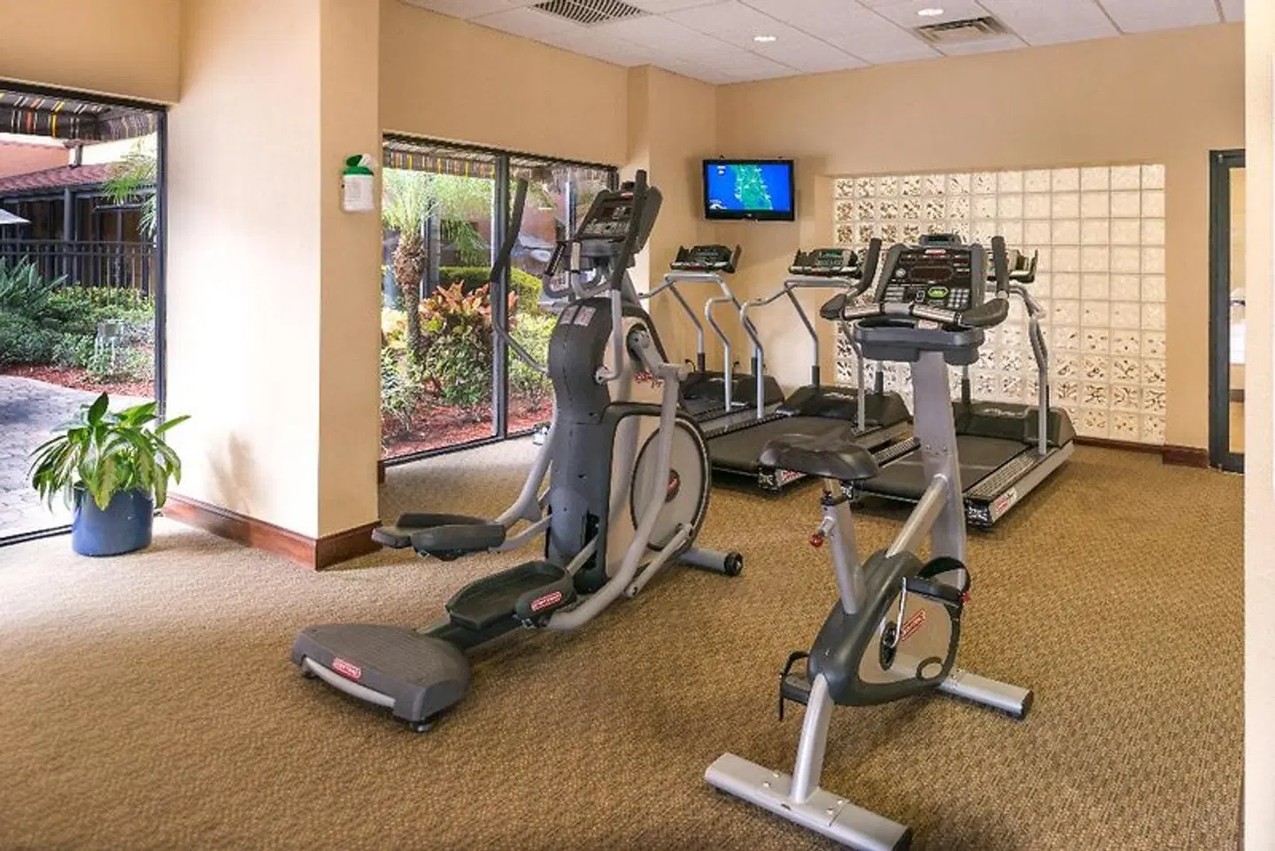 Holiday Inn & Suites Orlando SW - Celebration Area SPORTS_AND_LEISURE