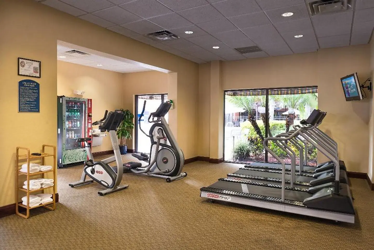 Holiday Inn & Suites Orlando SW - Celebration Area SPORTS_AND_LEISURE