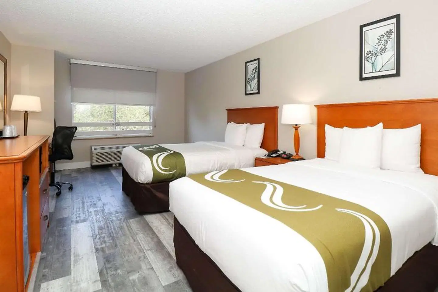 Quality Inn Miami Airport ROOM_EXAMPLE