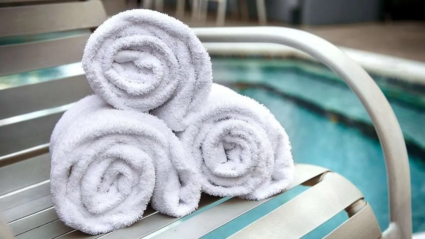 Best Western Inn at the Meadows Tiere