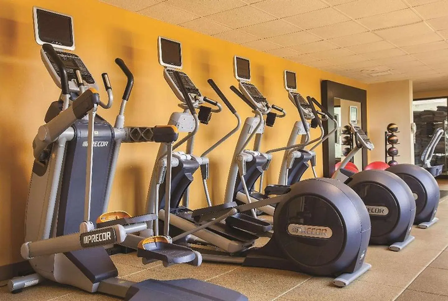 DoubleTree by Hilton Chicago - Oak Brook SPORTS_AND_LEISURE