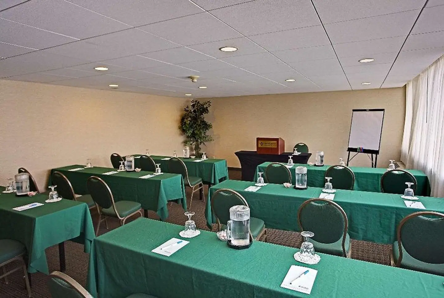 Wyndham Garden Philadelphia Airport Konferenz