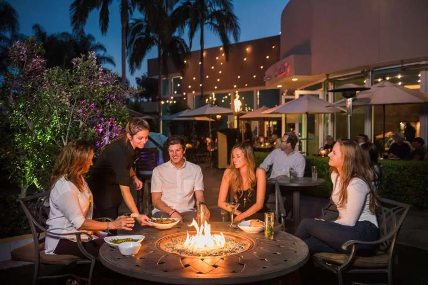 The Dana on Mission Bay Terrasse