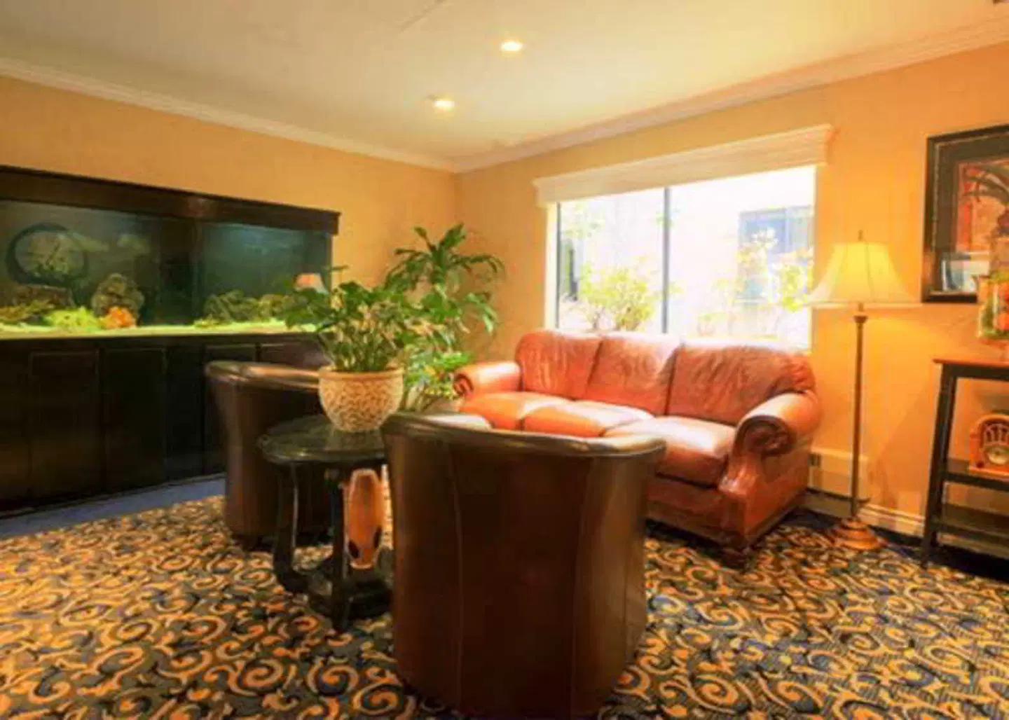 Comfort Inn Gaslamp Convention Center ROOM_EXAMPLE