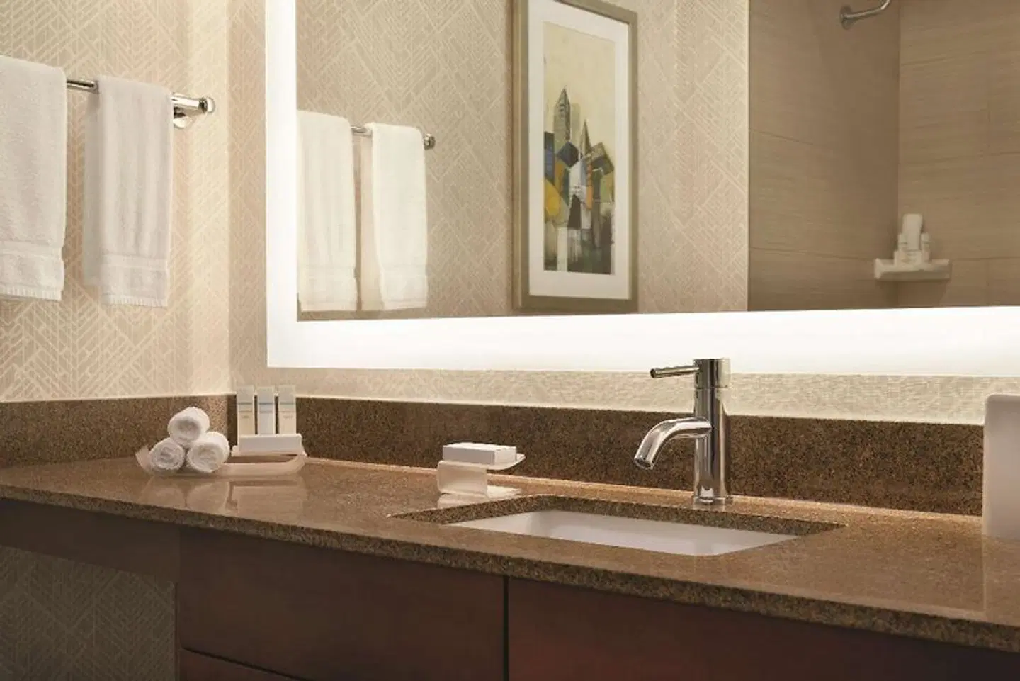 Homewood Suites by Hilton Seattle Convention Center Pike Street Badezimmer
