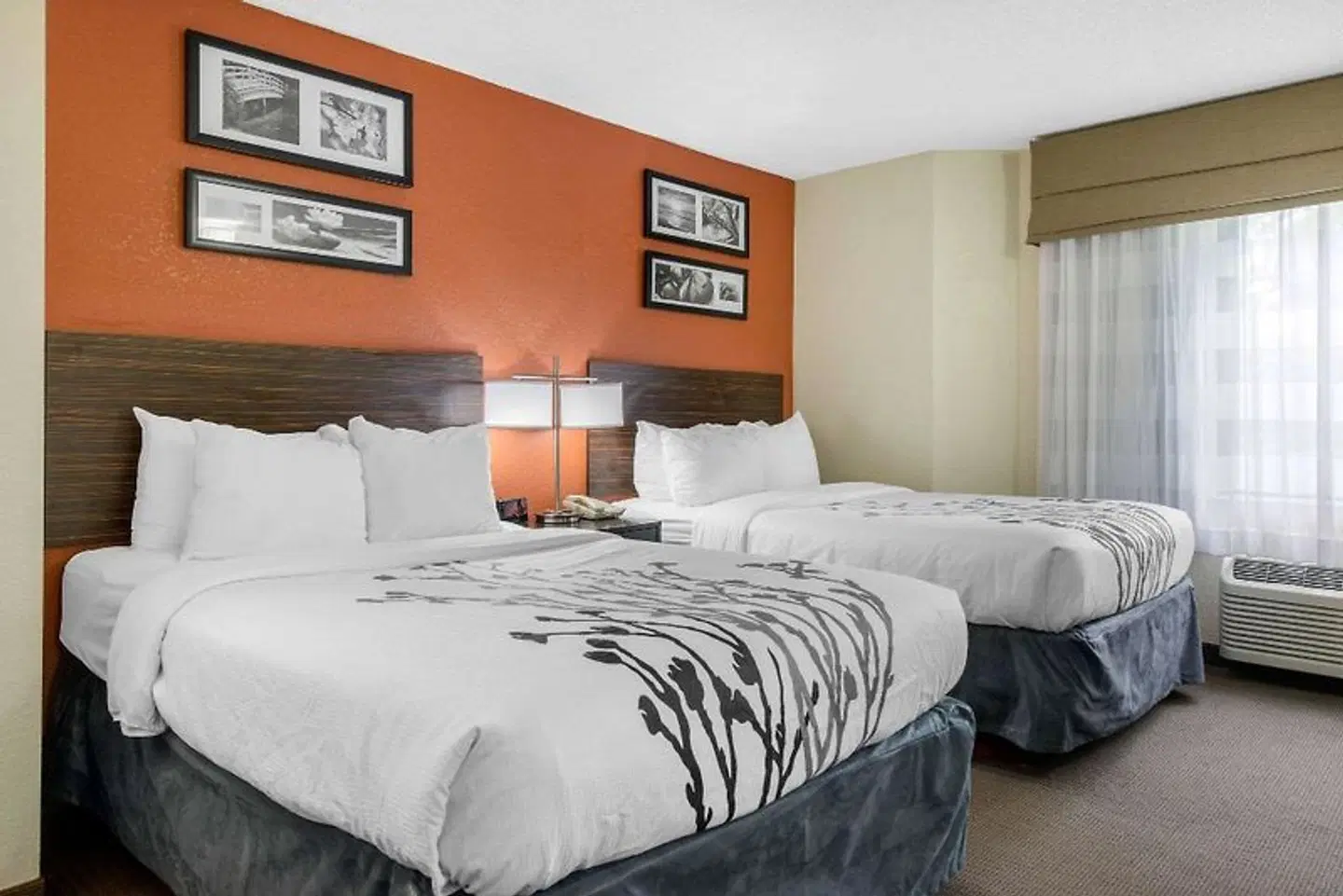 Sleep Inn Sarasota North ROOM_EXAMPLE
