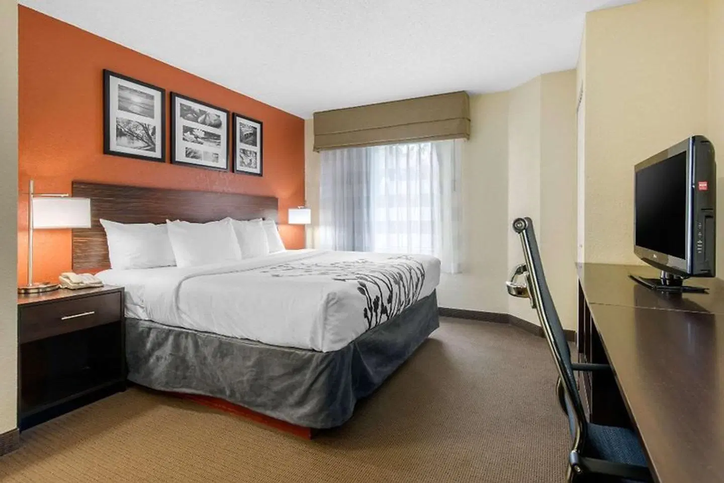 Sleep Inn Sarasota North ROOM_EXAMPLE
