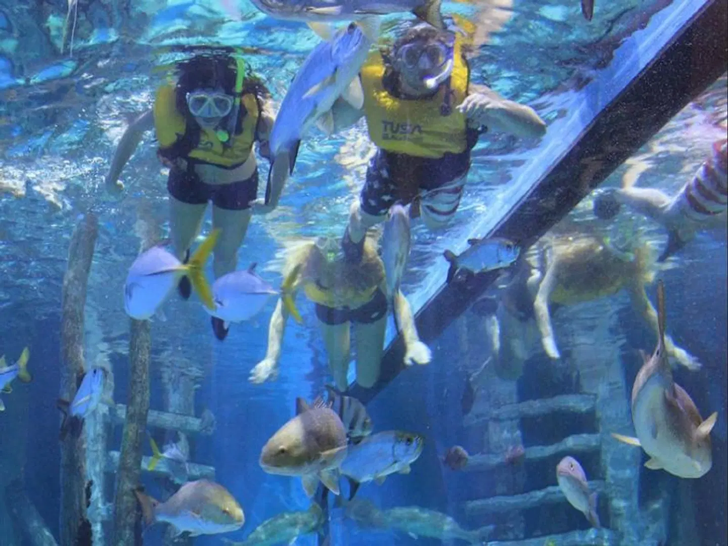 RumFish Beach Resort Tiere