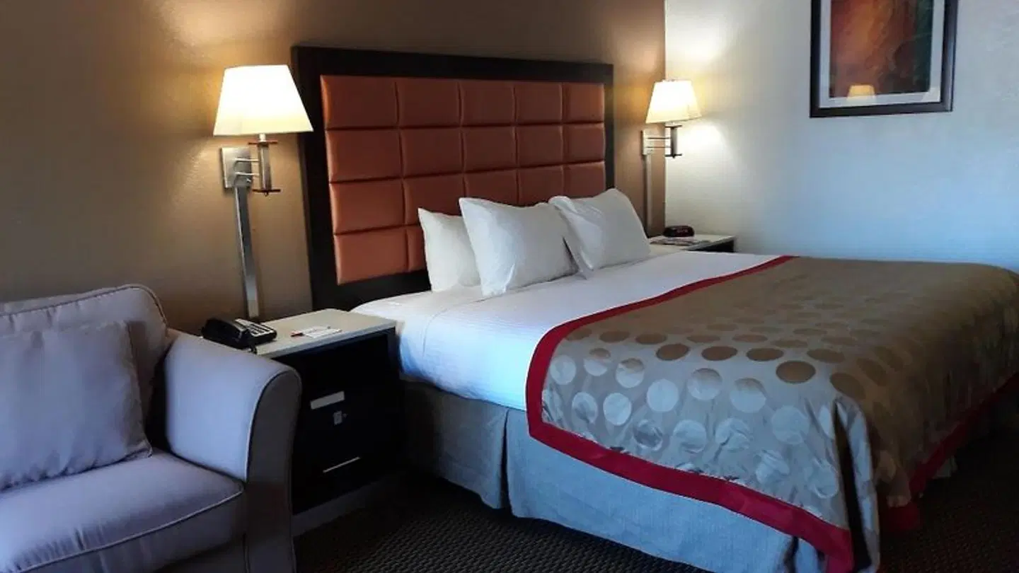 Ramada by Wyndham Temple Terrace/Tampa North ROOM_EXAMPLE