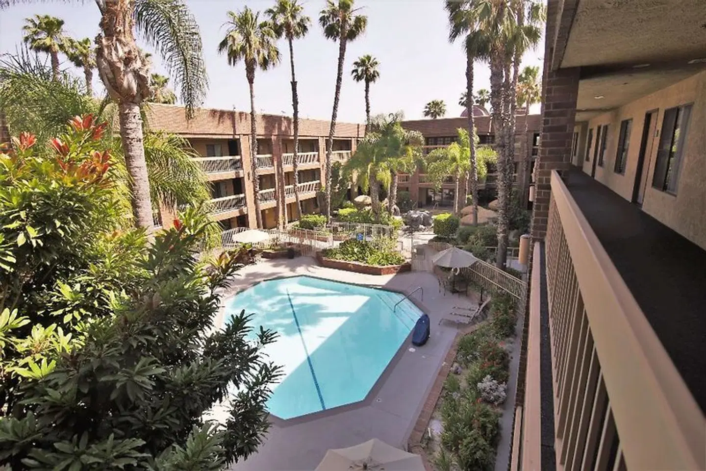 Best Western Plus Meridian Inn & Suites Anaheim - Orange OUTDOOR_POOL